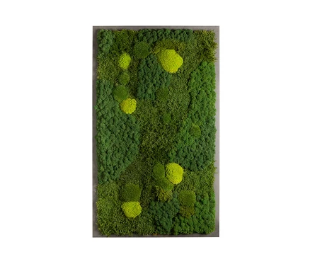 2026_05_23_819442